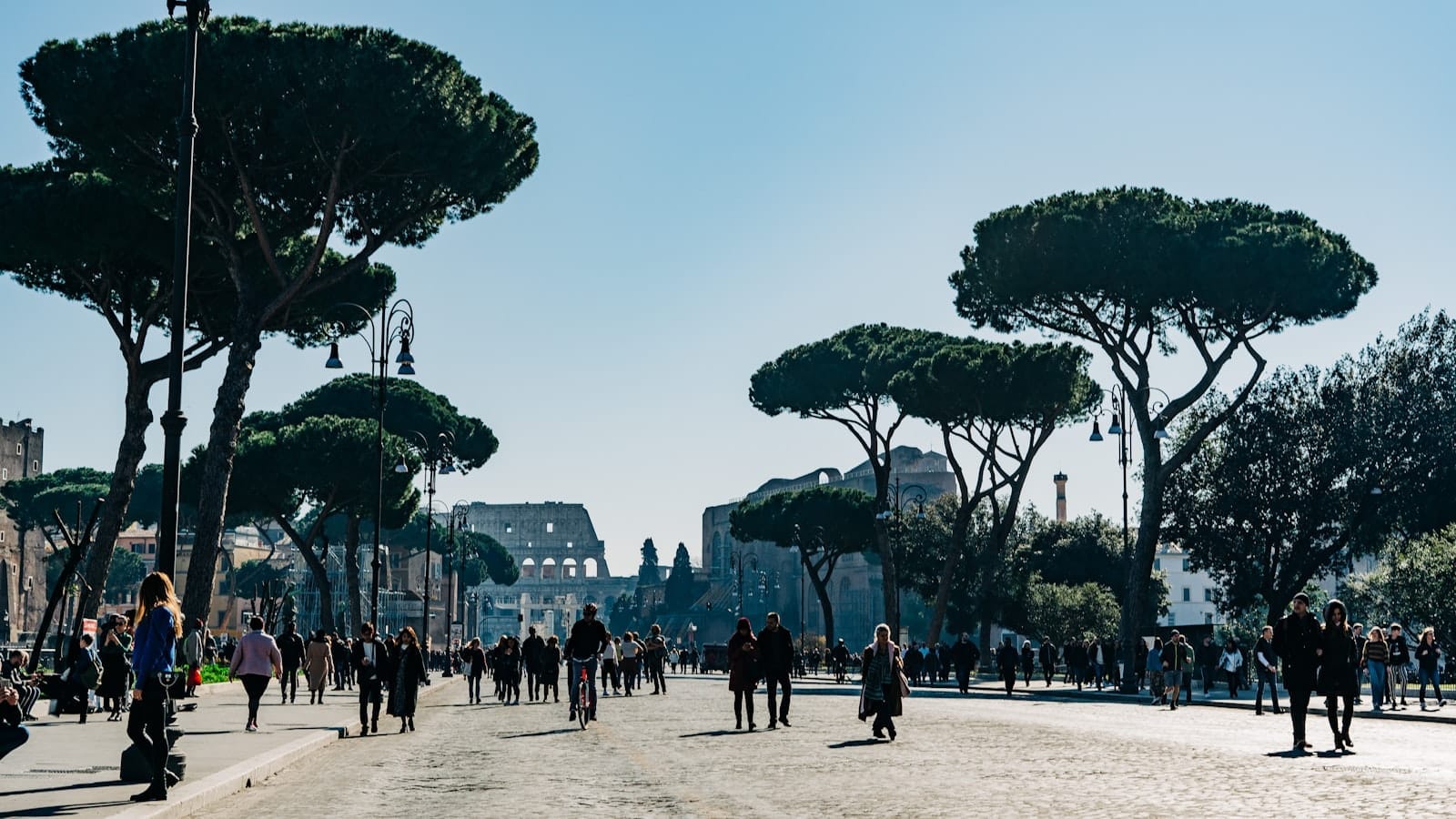 A wide boulevard in Rome filled with people walking, with the Colosseum visible in the distance and umbrella pines lining the street.