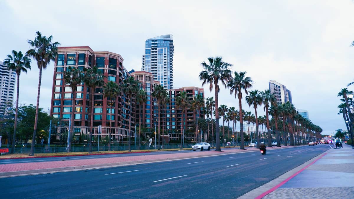 Straßenansicht der Innenstadt von San Diego mit Palmen, modernen Hochhäusern und Autos auf einer breiten Allee.