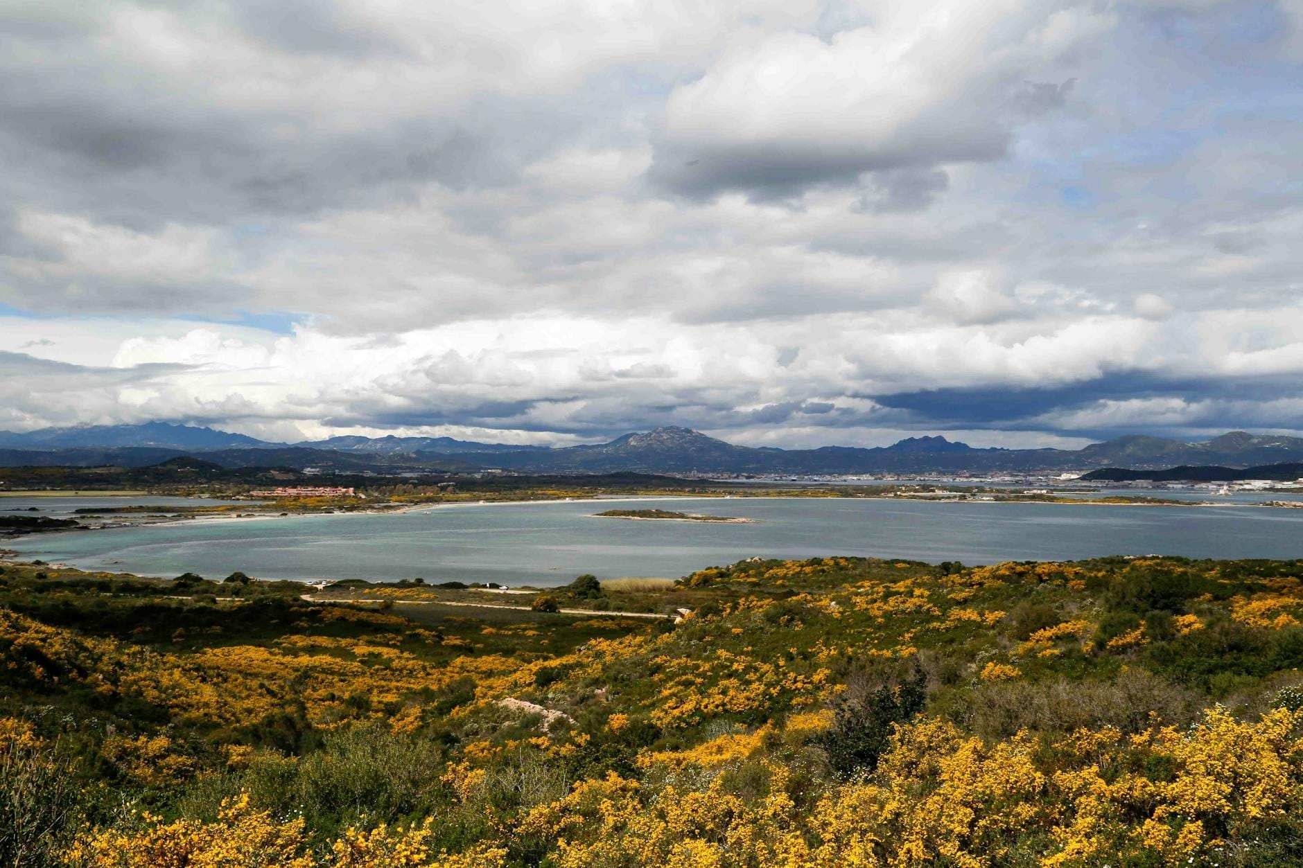 Weiter Blick auf eine Bucht und eine Küstenstadt, umgeben von gelbblühenden Büschen, möglicherweise in der Nähe eines Flughafens, unter einem dramatisch bewölkten Himmel in Sardinien.