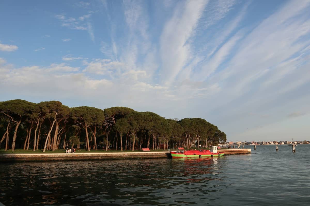 Weitläufiger Blick auf den Park der Giardini della Biennale mit alten Pinien entlang der Uferpromenade und blauem Himmel darüber, vom Wasser aus gesehen.