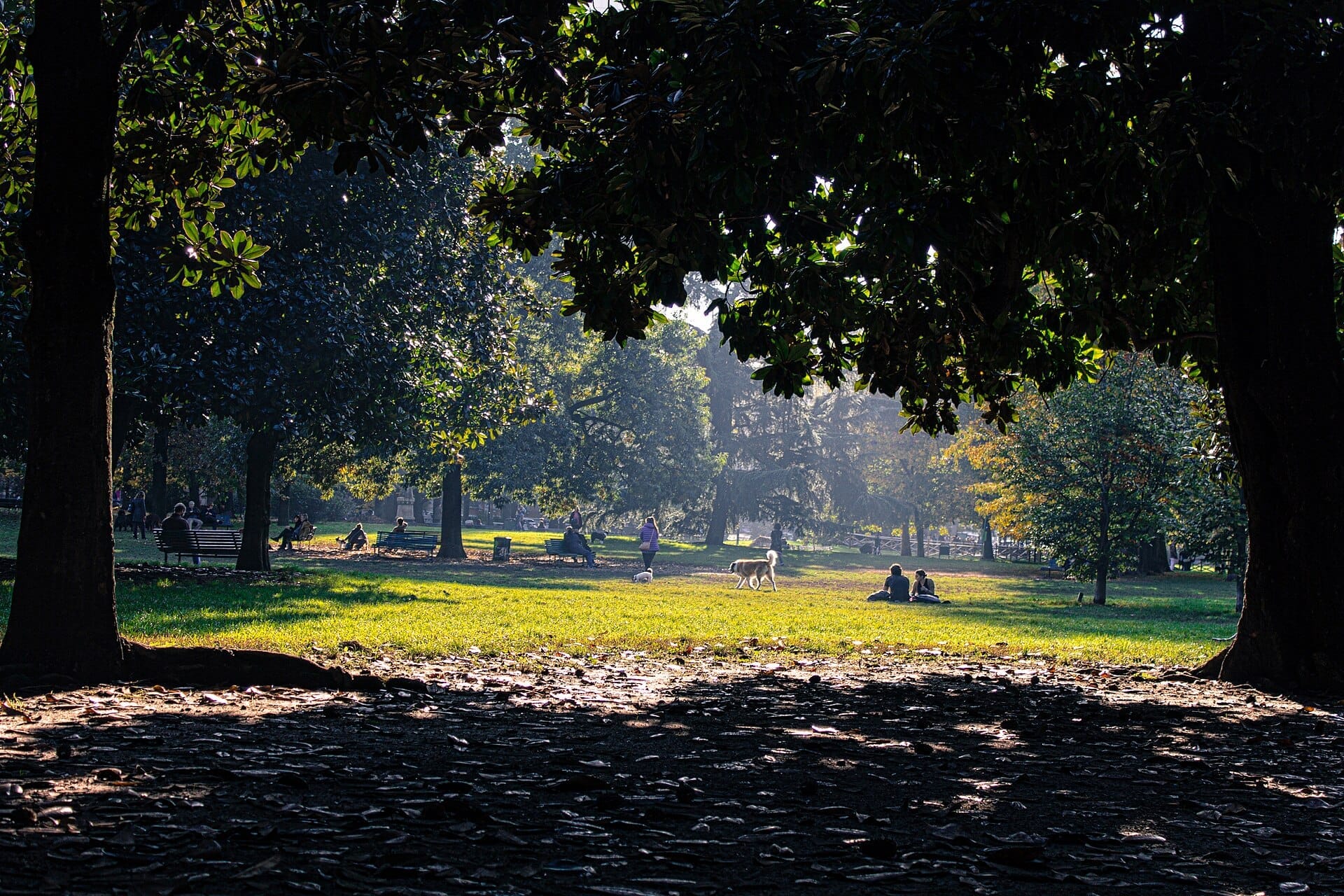 Grandi alberi fanno ombra sui prati erbosi dove le persone si rilassano e portano a spasso i cani nei Giardini Pubblici Indro Montanelli, il parco pubblico più antico di Milano.