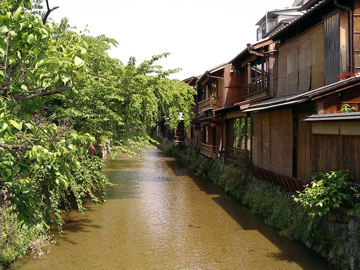 Traditional wooden teahouses and lush greenery line both banks of Kyoto's narrow Shirakawa Canal in the historic Gion Shirakawa district on a bright day.