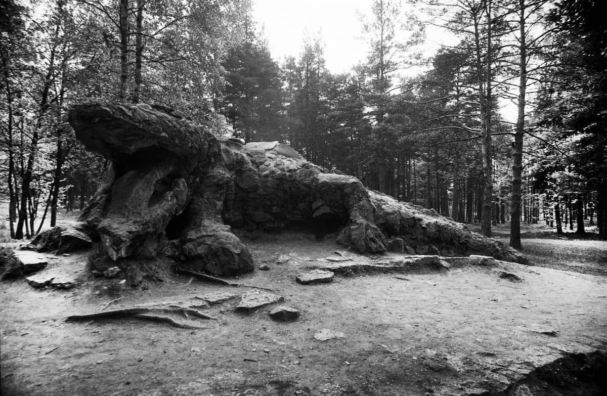 Schwarz-Weiß-Foto der berühmten steinernen Drachenskulptur, umgeben von Wald im Glehn-Park, Tallinn.