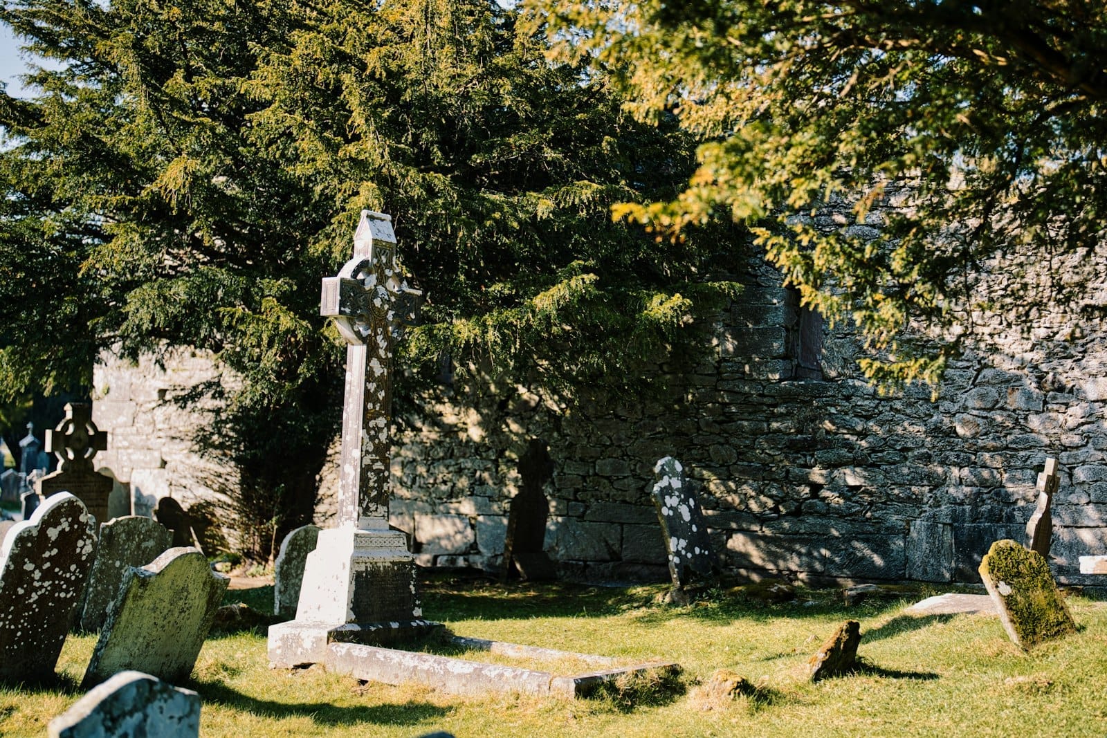 Croci celtiche e lapidi medievali si ergono tra rovine e muri di pietra ricoperti di muschio, all'ombra degli alberi, nel Sito Monastico di Glendalough in Irlanda.