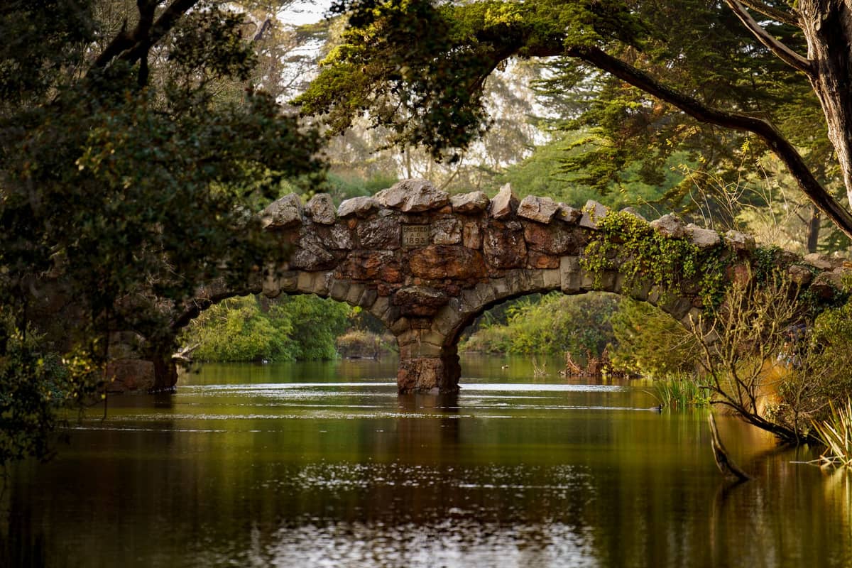 Un puente de arco de piedra cubierto de follaje verde cruza un lago sereno rodeado de árboles en el Golden Gate Park, San Francisco.
