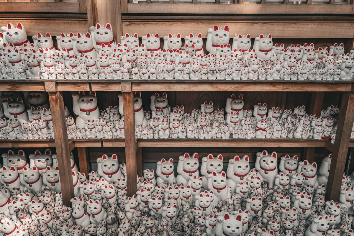 Hundreds of white maneki-neko (beckoning cat) figurines crowded on wooden shelves at Gotokuji Temple, Tokyo, forming a striking visual display.