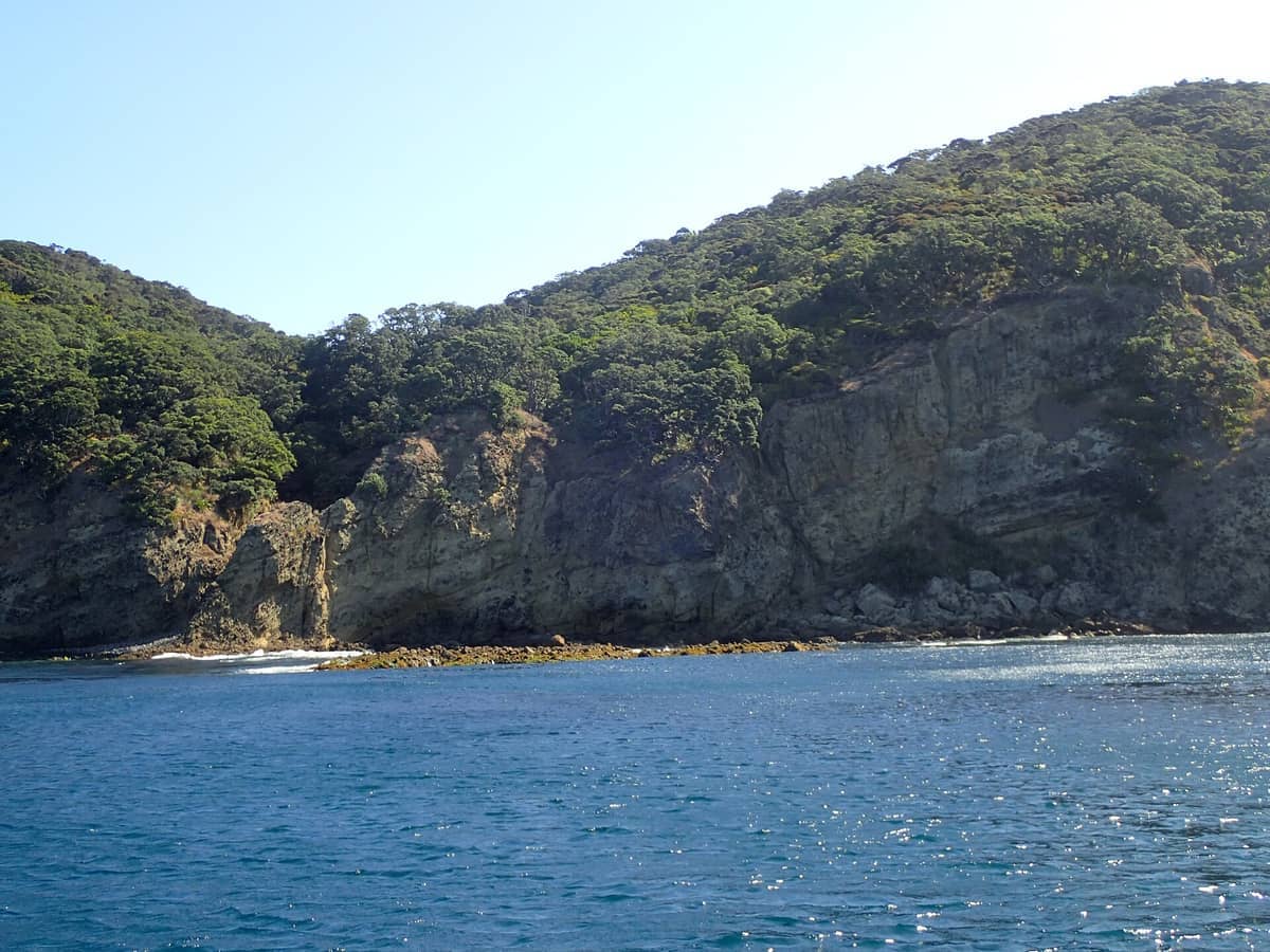 Felsige Küstenlinie und dichter einheimischer Wald, der sich über das klare blaue Wasser auf Aotea Great Barrier Island unter einem strahlend sonnigen Himmel erhebt.