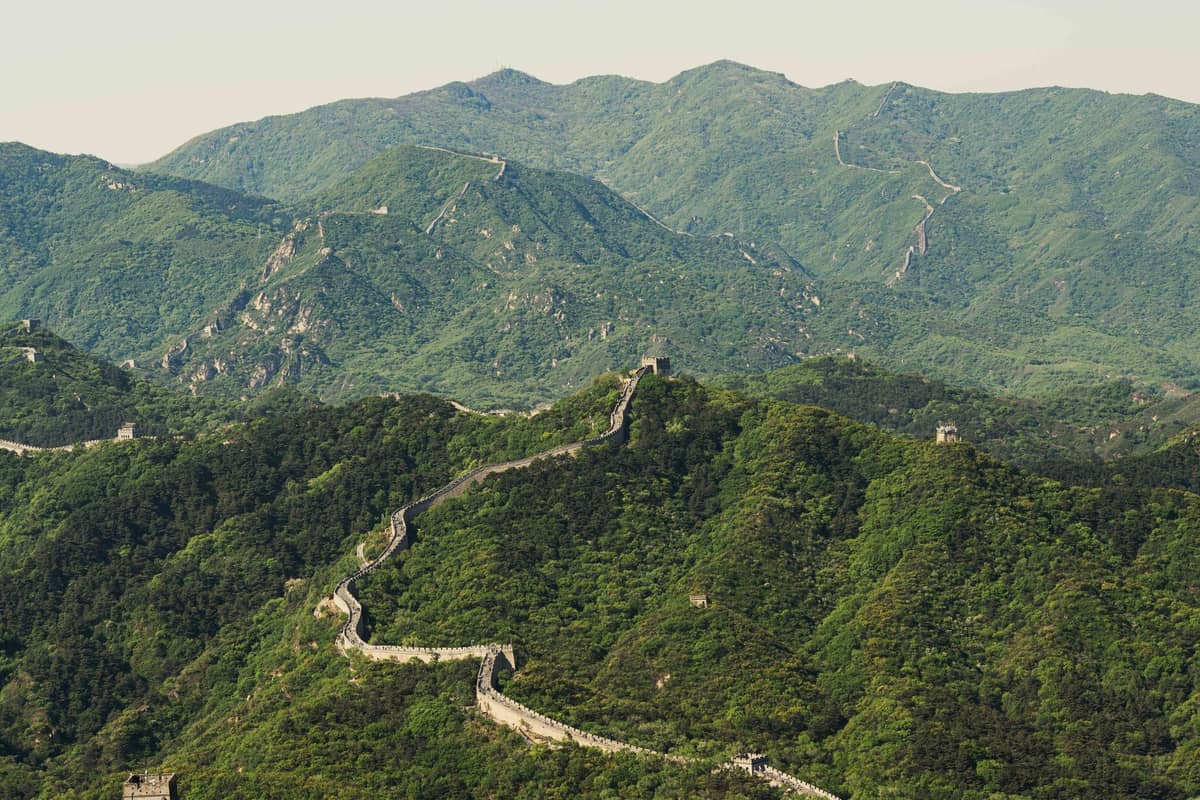 La Gran Muralla China serpentea por colinas boscosas verdes y montañas escarpadas bajo un cielo despejado, capturando el exuberante y pintoresco paisaje de Mutianyu.