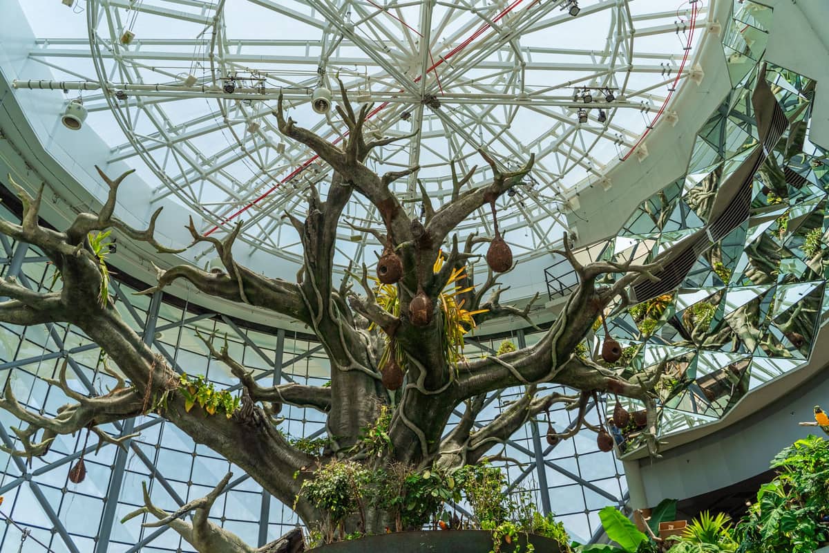 Innenansicht von The Green Planet Dubai: Der hohe zentrale Kunstbaum unter einer Glaskuppel, umgeben von tropischen Pflanzen und üppigem Grün.