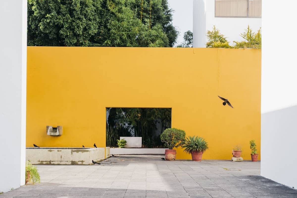 Minimalistischer Innenhof mit einer leuchtend gelben Wand, geometrischen Formen, Topfpflanzen und modernistischen Architekturlinien im Sonnenlicht.