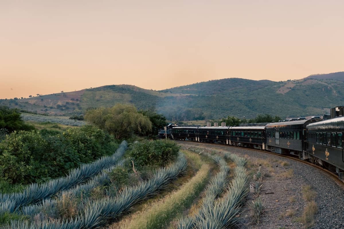 Ein malerischer Zug fährt durch blaue Agavenfelder mit Hügeln in der Ferne und weckt das Flair der romantischen Tequila-Region nahe Guadalajara.