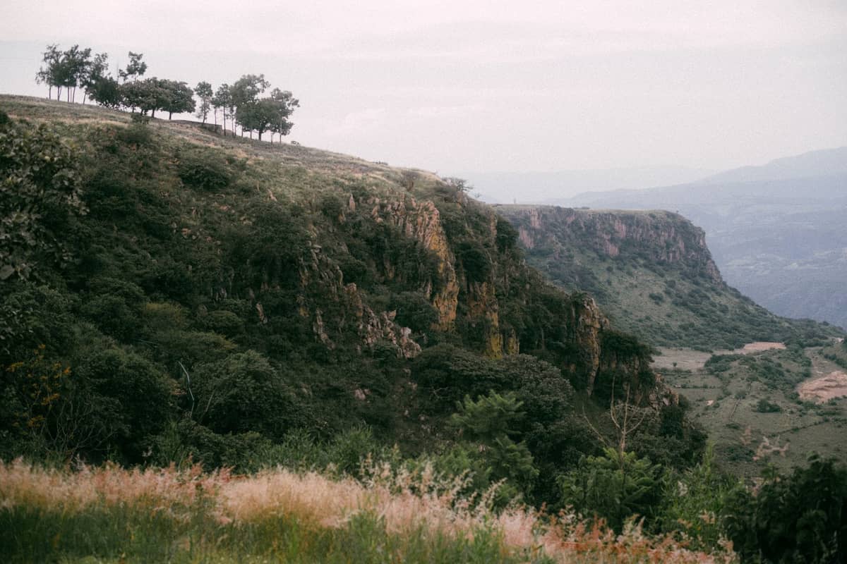 ขอบหุบเขาสีเขียวที่มีต้นไม้และหญ้าใต้ท้องฟ้ามีเมฆ น่าจะเป็น Barranca de Huentitán ในเมืองกัวดาลาฮารา