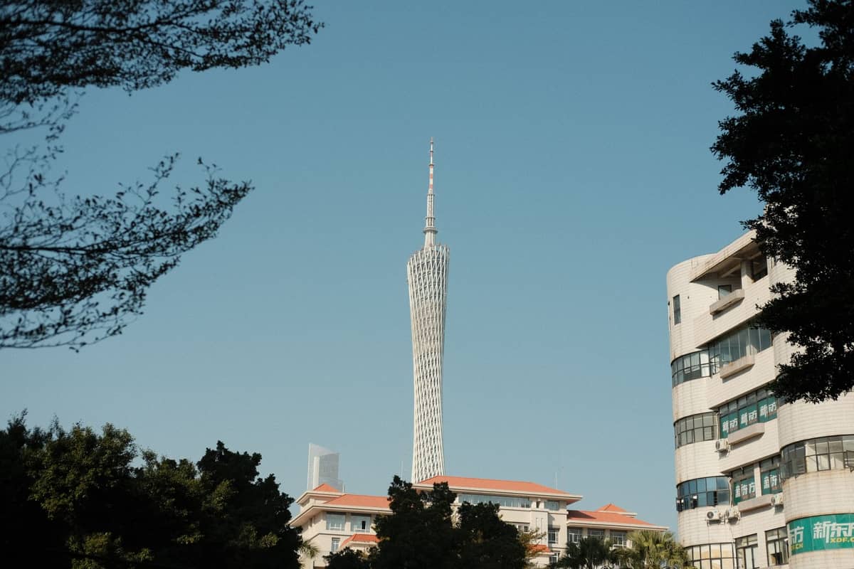 Canton Tower rising above trees and buildings under clear blue sky in Guangzhou, an iconic example of the city's contemporary architecture.