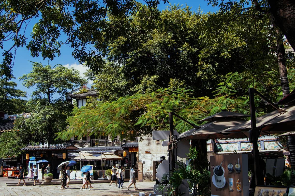 People walking under umbrellas and shade trees on a sunny day in a leafy outdoor plaza in Guangzhou.
