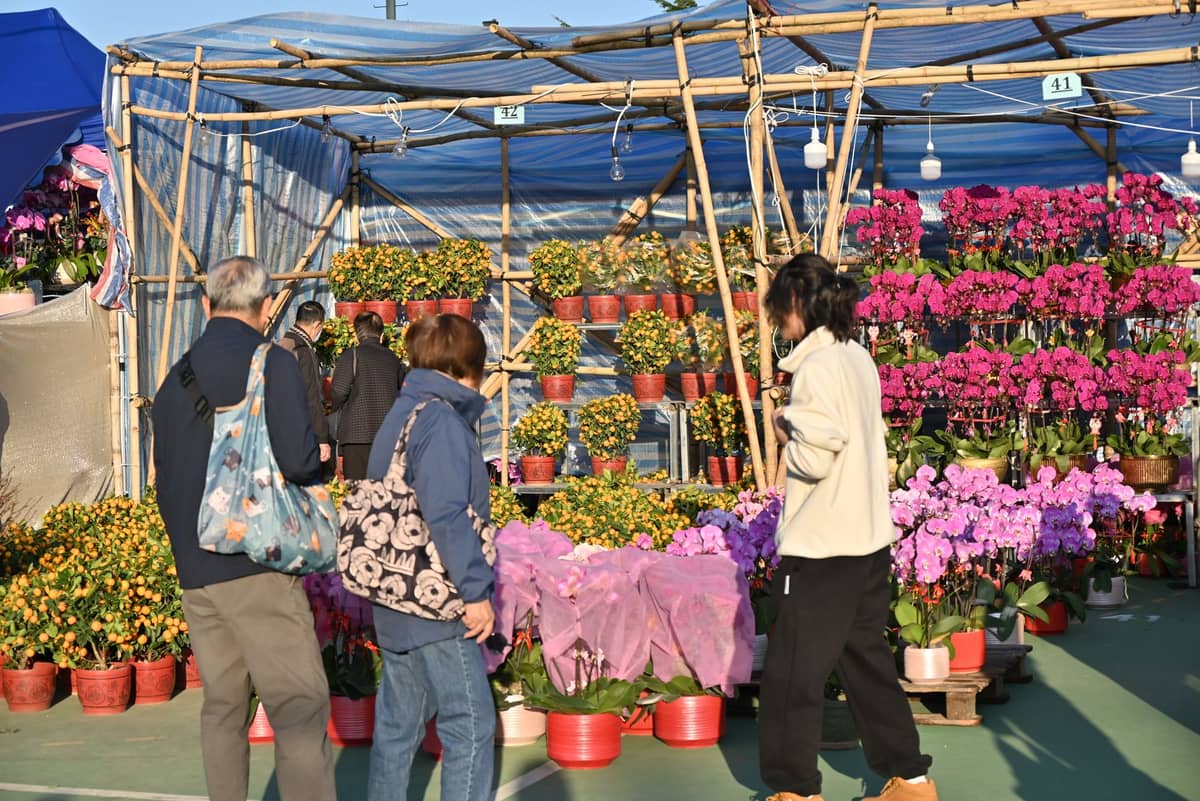 Outdoor flower market with potted orchids, kumquat trees, and shoppers under a blue tent, typical of Guangzhou's Spring Festival flower fairs.
