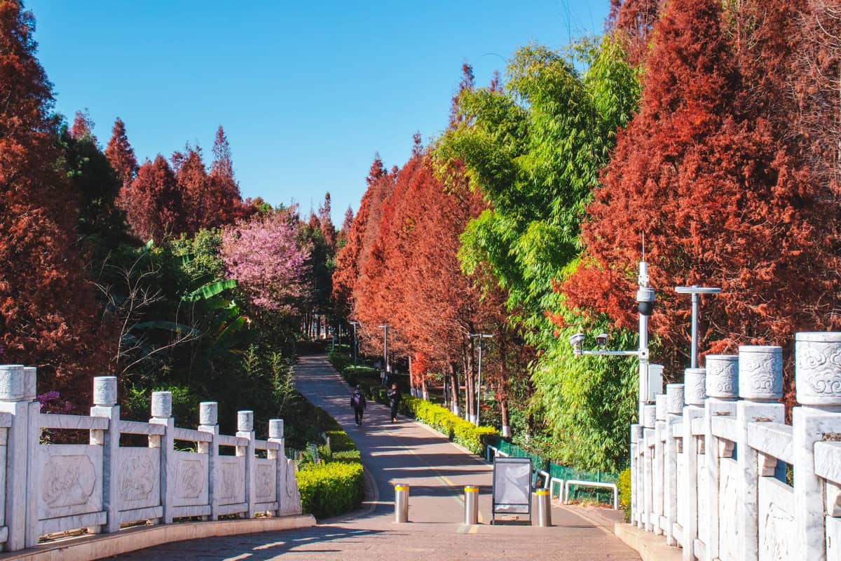 Stone pedestrian bridge leading into a park with red and green autumn trees, blue sky, and a few people walking.