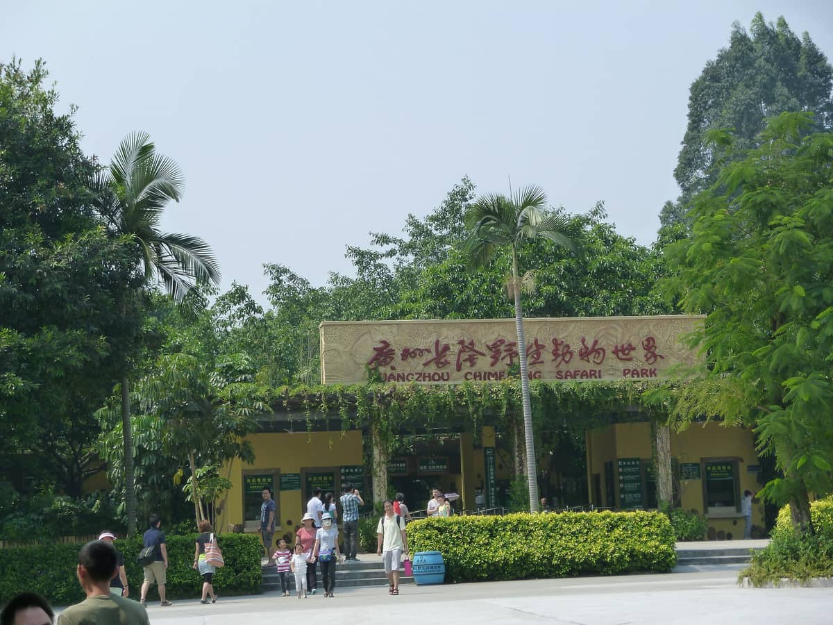 Entrance to Guangzhou Chimelong Safari Park with people walking and trees surrounding the main gate and sign