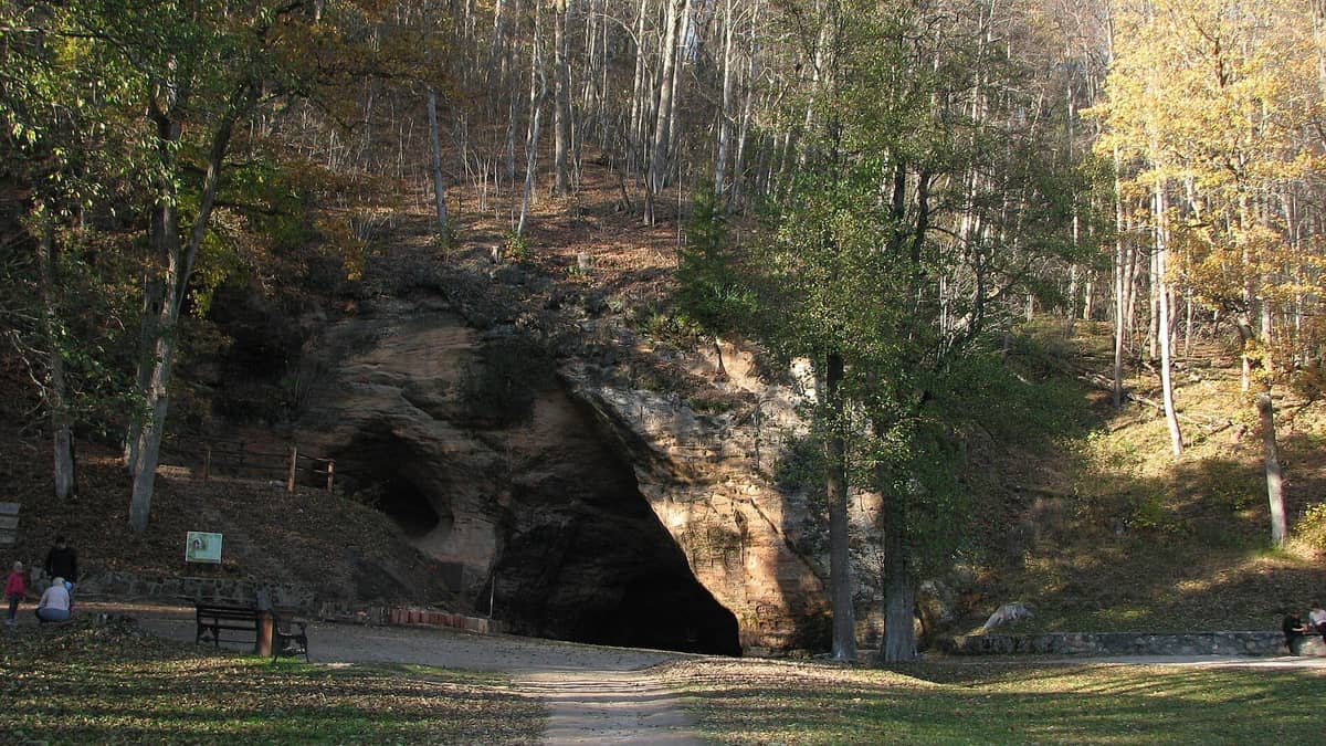 Eingang zur Gutmanis-Höhle, eingerahmt von Herbstbäumen und roten Sandsteinklippen, mit einem Erdweg und Bänken im Vordergrund.