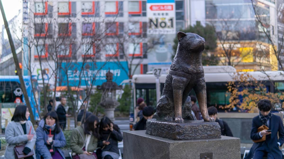 Bronze Hachiko Statue in Shibuya with people sitting and buses passing by, surrounded by buildings and bare winter trees.