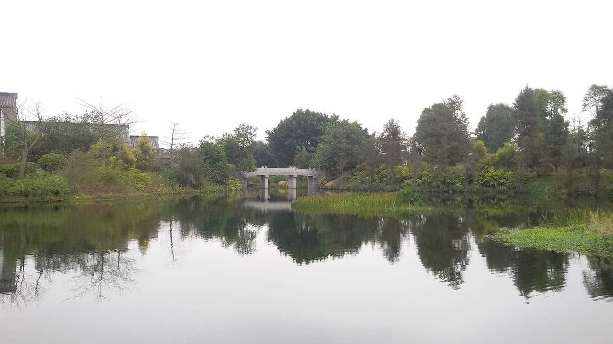 A tranquil wetland scene at Guangzhou Haizhu National Wetland Park, featuring a calm reflective pond bordered by trees and a small concrete bridge in the distance.