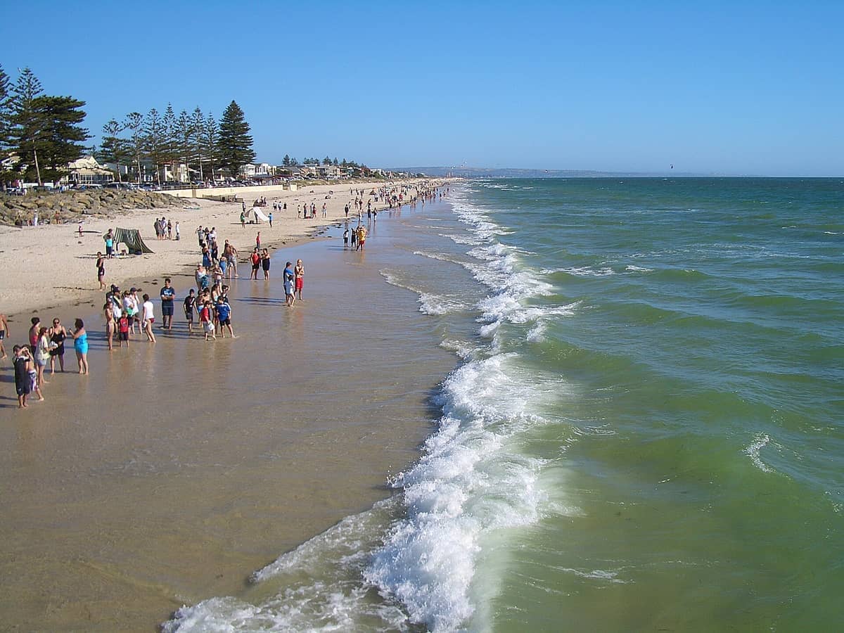 Menschenmengen genießen die flachen Wellen entlang des sandigen Ufers von Henley Beach, mit lokalen Gebäuden und Kiefern unter einem klaren blauen Himmel.