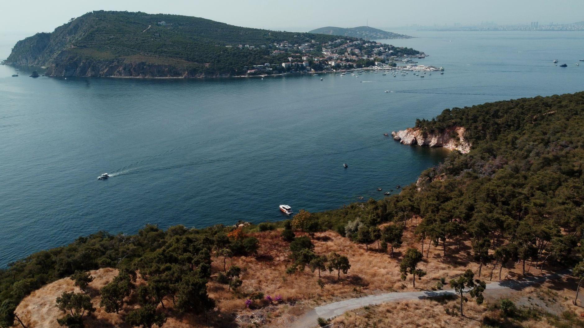 Vista aerea di Heybeliada con rigogliose pinete, ville dell'era ottomana e la costa che incontra il blu del Mar di Marmara sotto un cielo limpido.