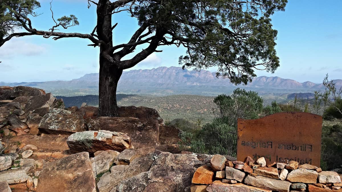 Panoramablick vom Flinders Ranges National Park mit felsigem Gelände, einem großen Baum im Vordergrund und fernen blauen Bergen unter klarem Himmel.