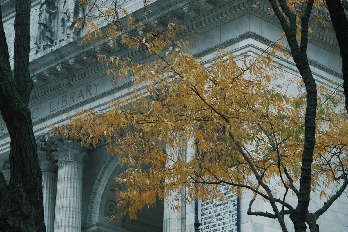 Fassade der New York Public Library mit klassischen Säulen, Bäume mit gelben Blättern rahmen das Gebäude ein