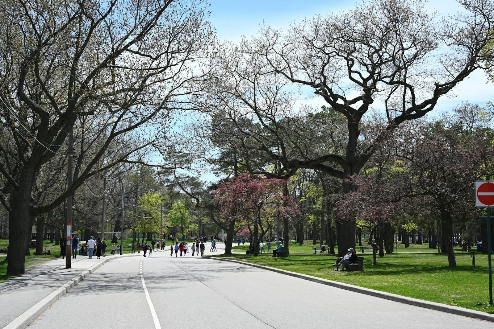 มุมกว้างถนนหลักใน High Park มีผู้คนเดินและนั่งบนม้านั่งใต้ต้นไม้ใหญ่ ท่ามกลางวันที่แดดดีในโตรอนโต
