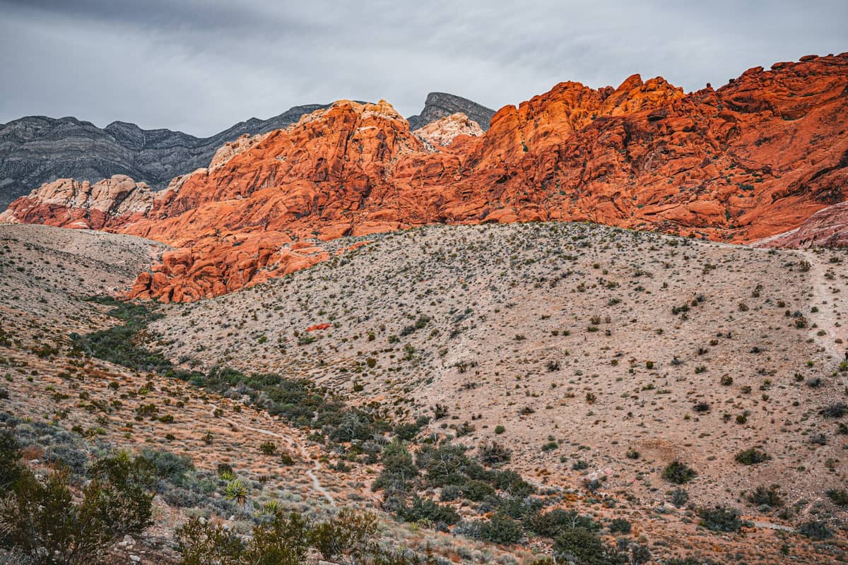 Desert landscape with red sandstone cliffs and arid scrub brush at Red Rock Canyon near Las Vegas, featuring a popular hiking trail.