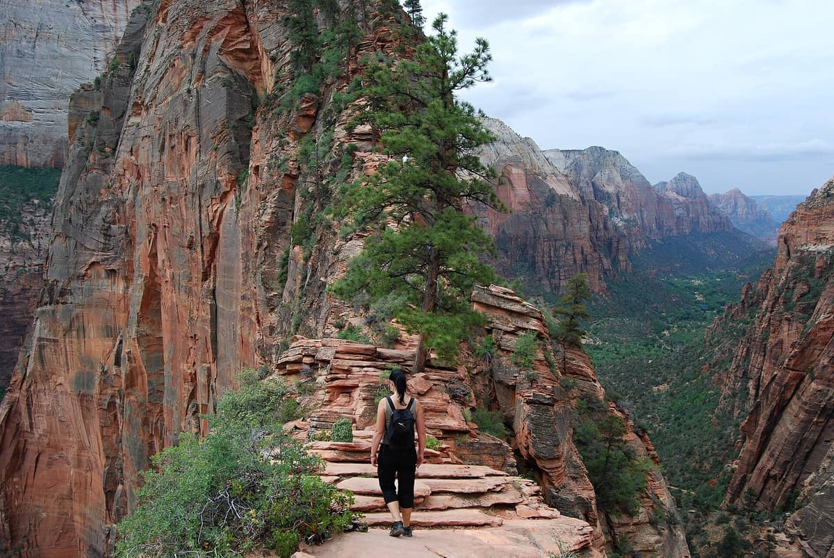 Wanderer auf dem schmalen felsigen Grat des Angels Landing im Zion-Nationalpark, mit Blick auf dramatische rote Klippen und ein tiefes grünes Tal darunter.