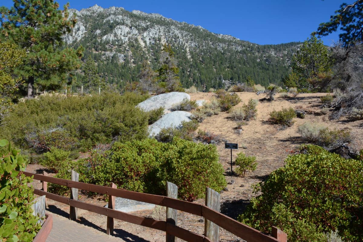 Sonniger Alpenwanderweg in der Nähe von Mount Charleston mit Kiefern, Sträuchern, Holzzaun, Felsbrocken und bewaldeten Bergen im Hintergrund.