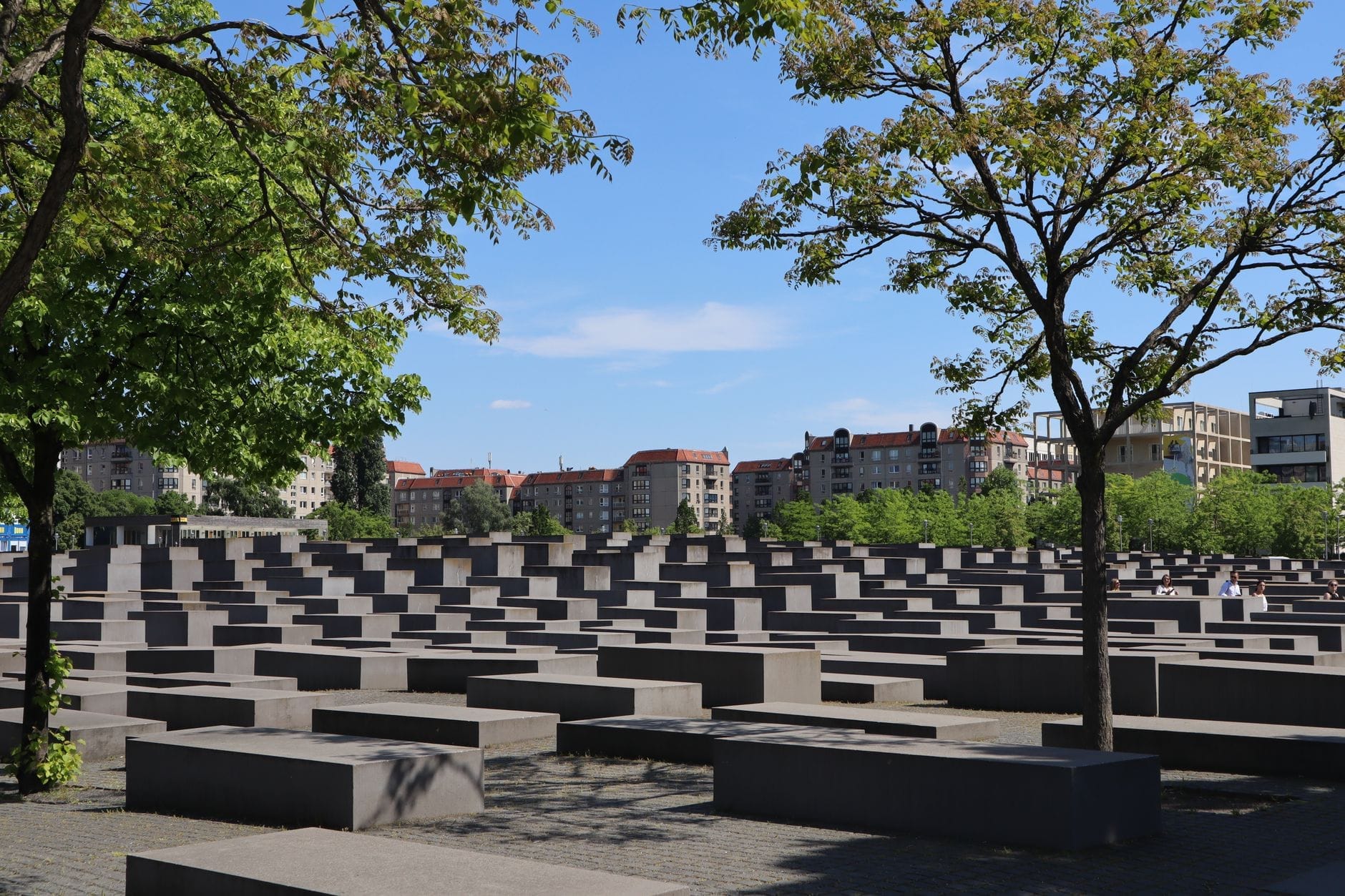 Vista del Memoriale agli Ebrei Assassinati d'Europa a Berlino con le stele in cemento, alberi verdi e palazzi della città sotto un cielo azzurro limpido.