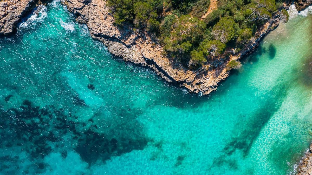 Mallorca'da berrak turkuaz su ve ağaçlarla kaplı kayalık kıyı şeridinin havadan görünümü, adanın doğal güzelliğini gözler önüne seriyor.