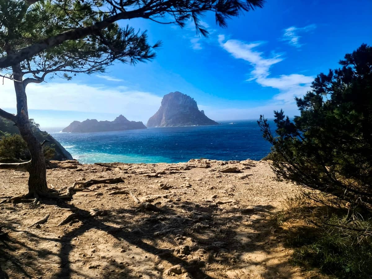 Dramatic rocky coastline and sea with island in distance, framed by pine trees and hiking path, under a bright blue sky in Ibiza.