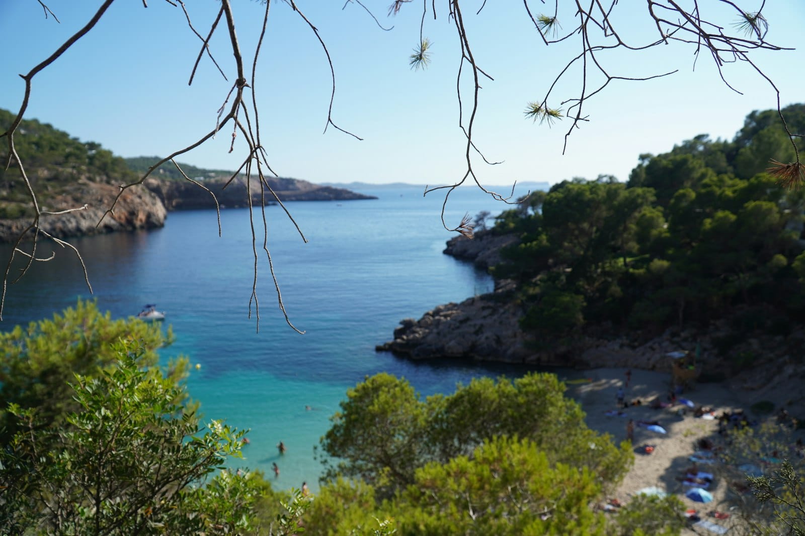 Enseada isolada em Ibiza cercada de árvores e falésias rochosas, água turquesa e praia tranquila visíveis entre galhos de pinheiros, transmitindo uma atmosfera escondida e serena.