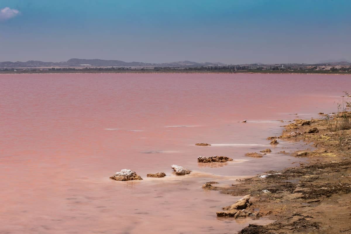 View of a pink salt lake shoreline under a blue sky, with rocky and salty crust formations in Ses Salines Natural Park, Ibiza.