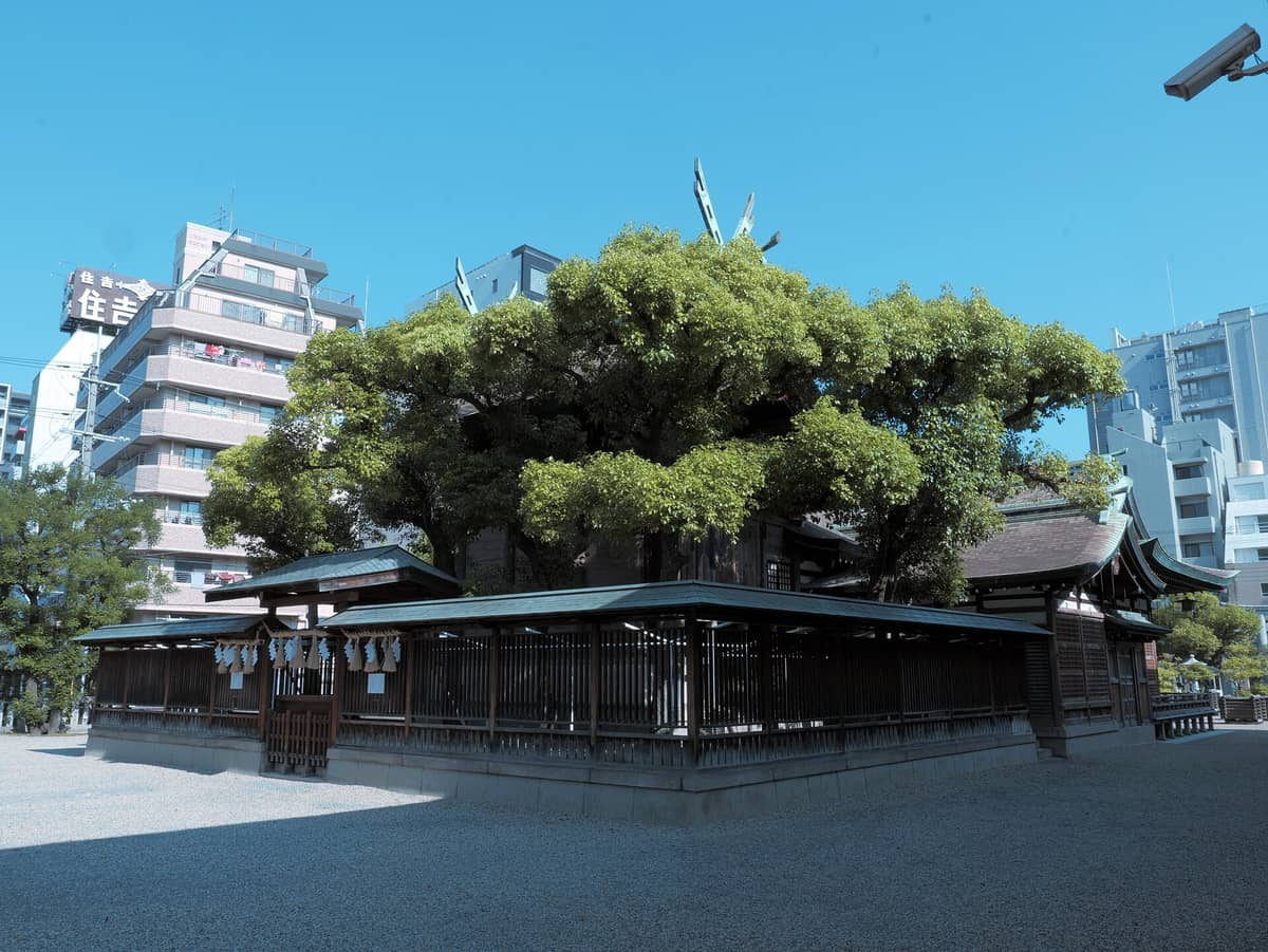 Wide view of Imamiya Ebisu Shrine grounds in Osaka, with shrine buildings surrounded by trees and modern city buildings visible in the background on a clear blue day.