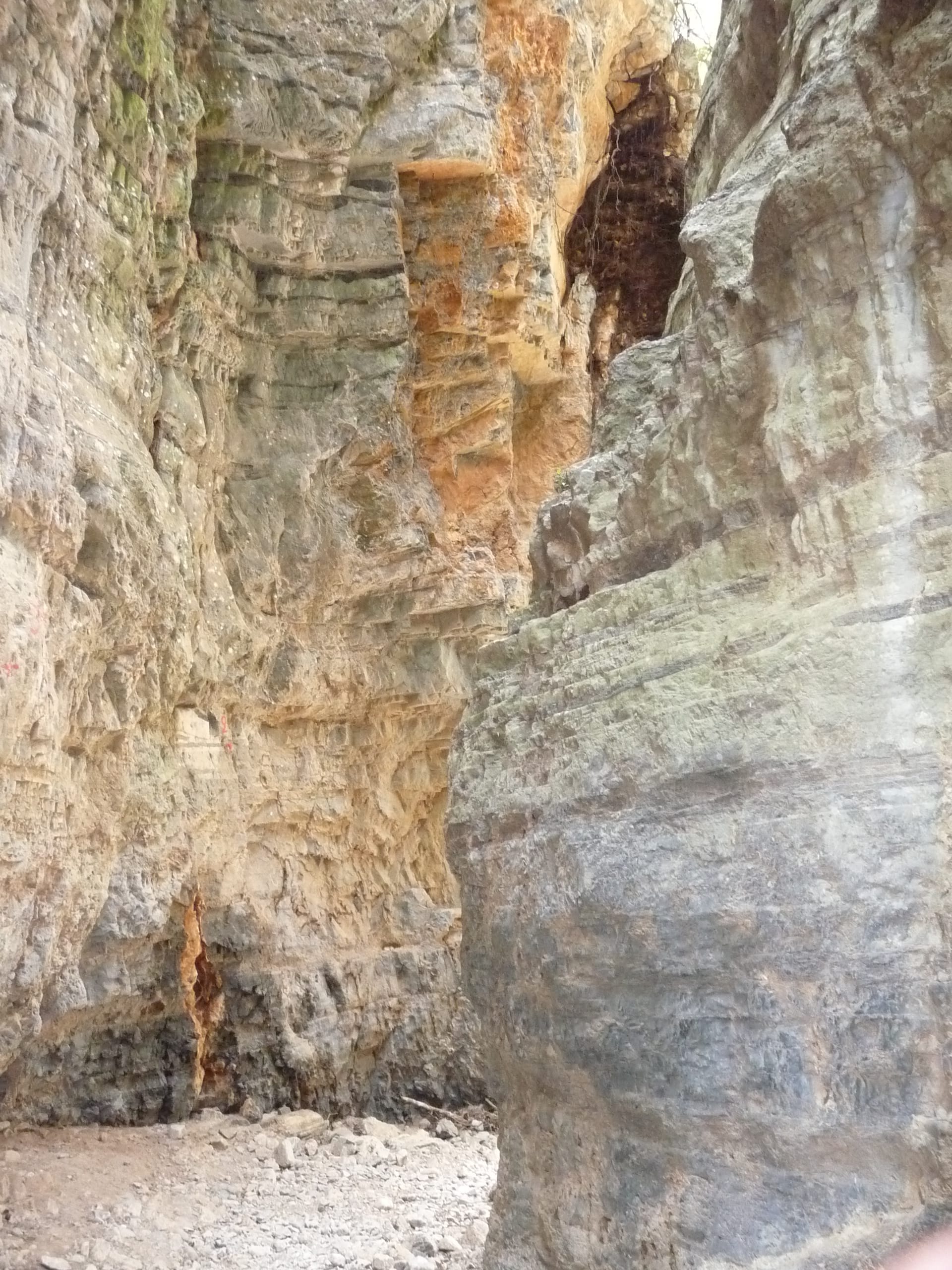 Pareti verticali di calcare della Gola di Imbros a Creta, con texture rocciose frastagliate e un sentiero stretto e sassoso alla luce naturale del giorno.