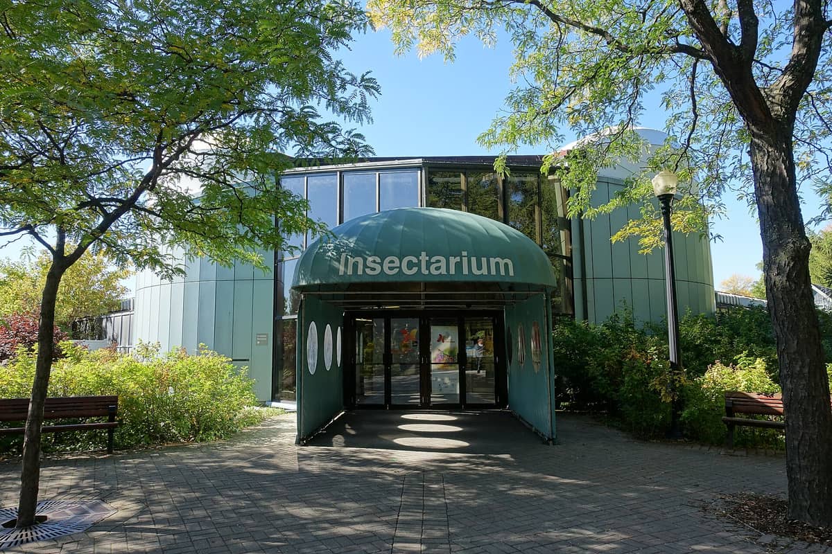 Eingangsbereich des Montréal Insectariums mit grünem Vordach und der Aufschrift 'insectarium', umgeben von Bäumen und Sträuchern an einem sonnigen Tag.
