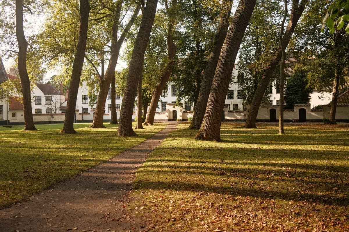 View of the Begijnhof in Bruges with white historic houses behind a grove of trees and a central path