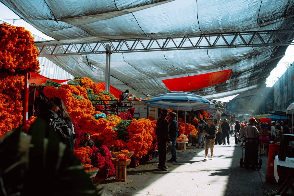 Überdachter Außenmarkt in Guadalajara mit Menschen, die zwischen Ringelblumen-Blumenständen spazieren, und einer belebten, geschäftigen Atmosphäre typischer lokaler Märkte.