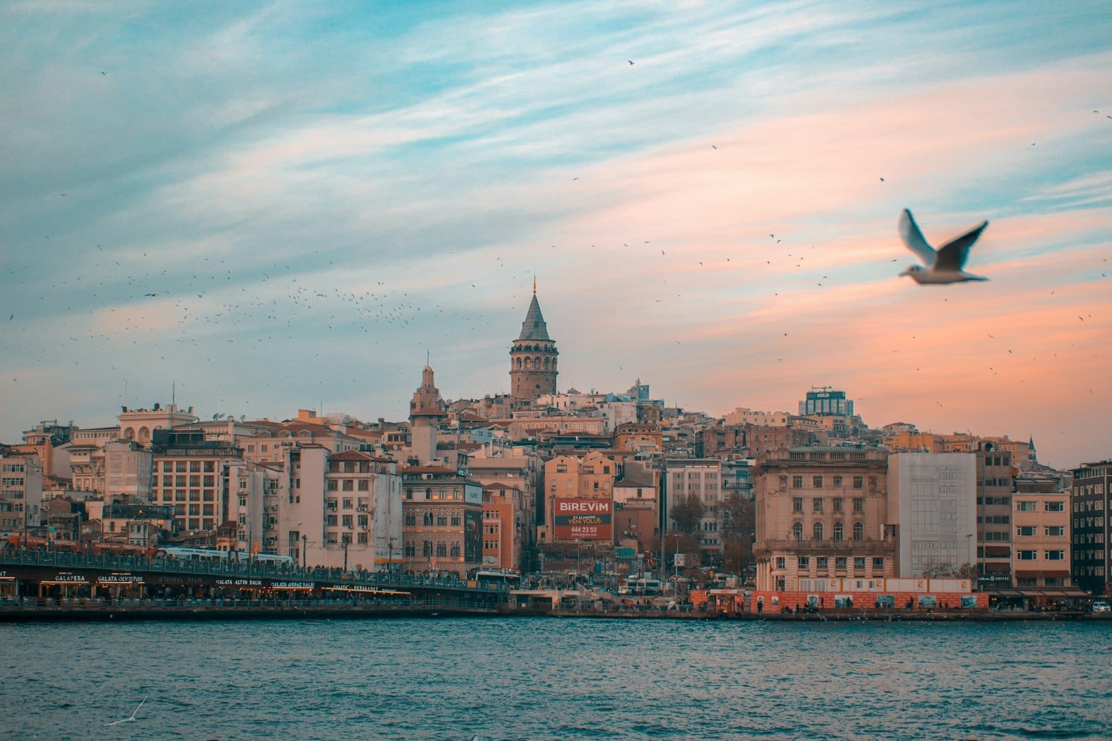 Vista do horizonte de Istambul com a Torre Gálata, prédios à beira d'água e uma gaivota voando sob um céu colorido ao pôr do sol, transmitindo a vibração urbana e o charme da cidade.