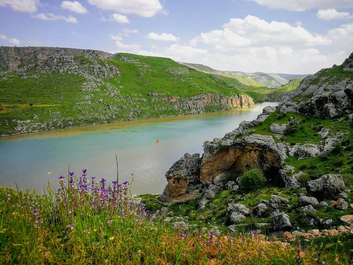 Paesaggio maltese scenico con colline verdi, un fiume tranquillo, scogliere rocciose e fiori selvatici viola in fiore in primo piano sotto un cielo luminoso.