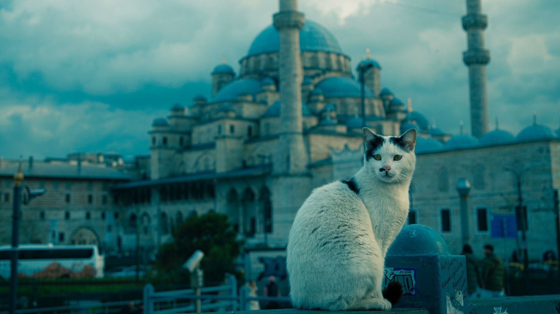Um gato de rua sentado atentamente em um corrimão, com a icônica mesquita e os minaretes de Istambul ao fundo sob um céu dramático e nublado.
