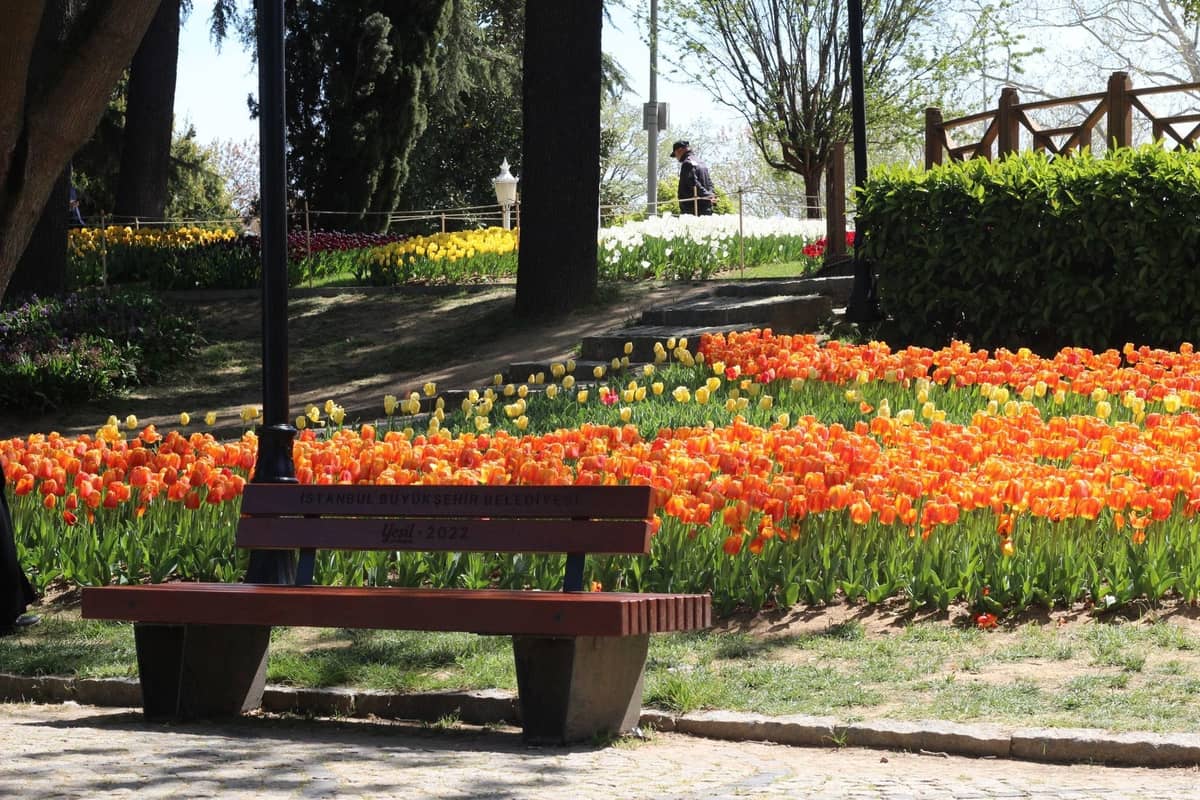 Holzparkbank vor einem Garten mit blühenden orangen und gelben Tulpen im Frühlingslicht in Istanbul