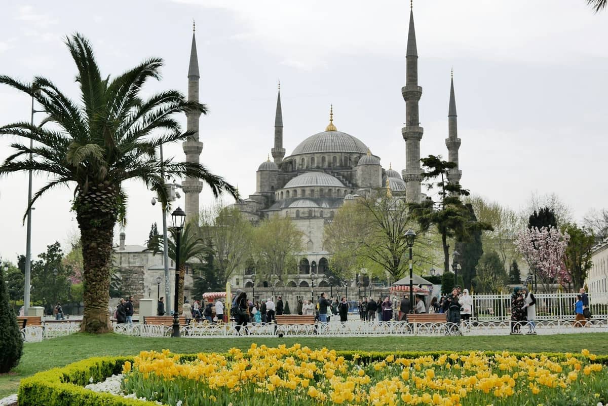 Des personnes se promenant devant des parterres de tulipes jaunes face à la Mosquée Bleue d'Istanbul par une belle journée de printemps