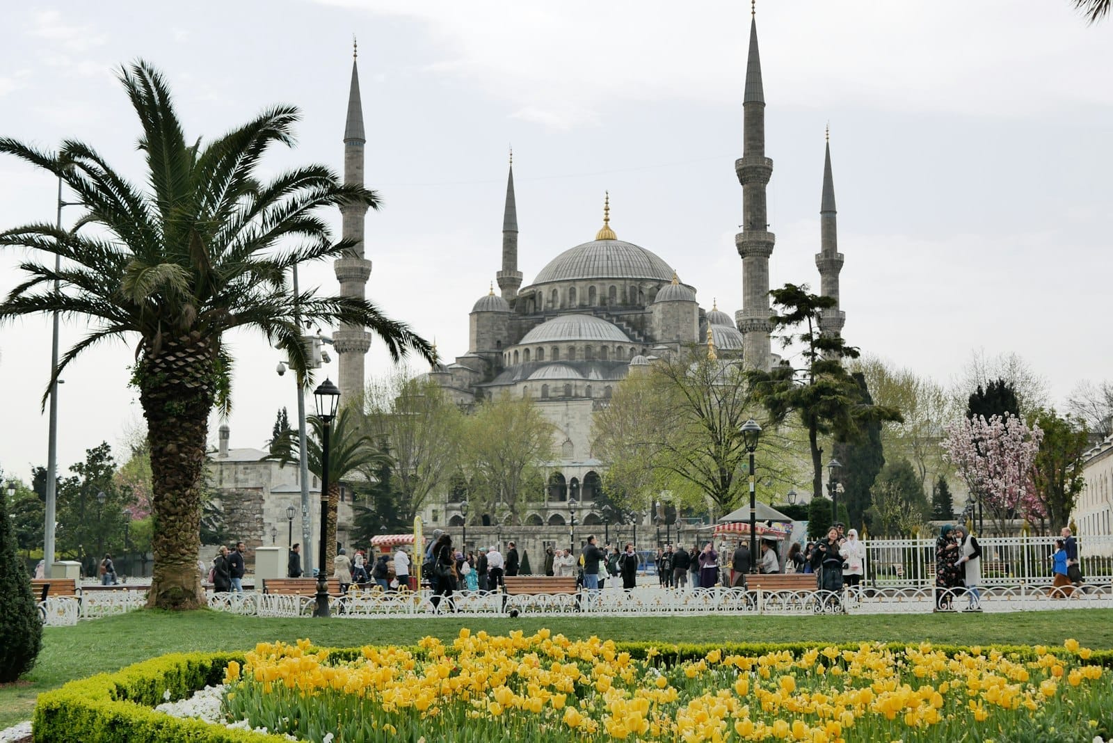Tulipas amarelas florindo em frente à Mesquita Azul em Istambul, com pessoas caminhando pelo parque durante o festival de primavera.