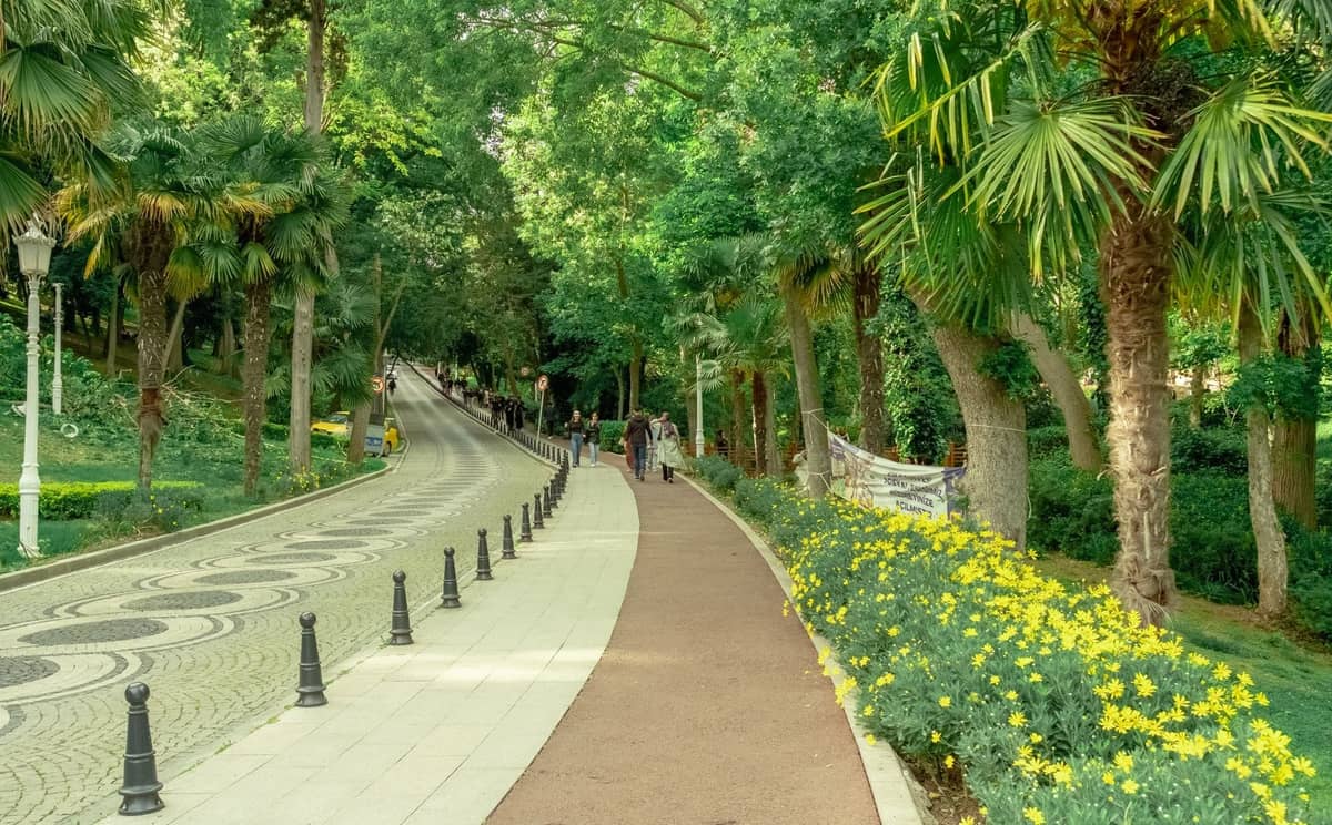 Eine breite Fußgängerpromenade, gesäumt von gelben Blumen und Palmen in einem üppigen Stadtpark, mit Familien, die an einem sonnigen Frühlingstag spazieren gehen.