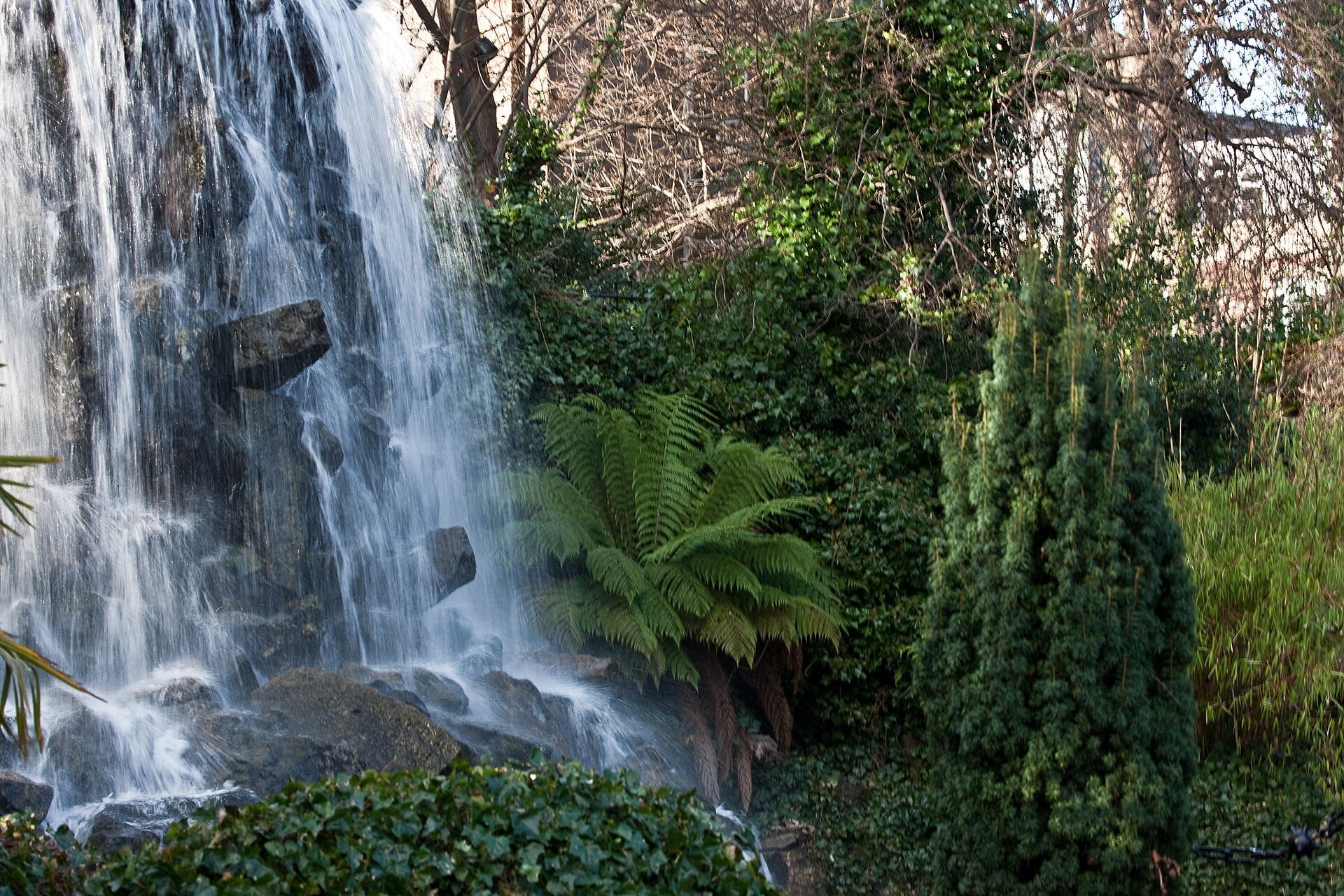 Una cascata di pietra naturale scorre tra la rigogliosa vegetazione e le felci negli Iveagh Gardens, con alberi frondosi e arbusti sullo sfondo.